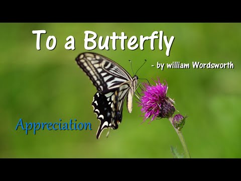 To a Butterfly