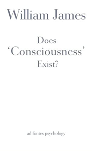 Does "consciousness" Exist?